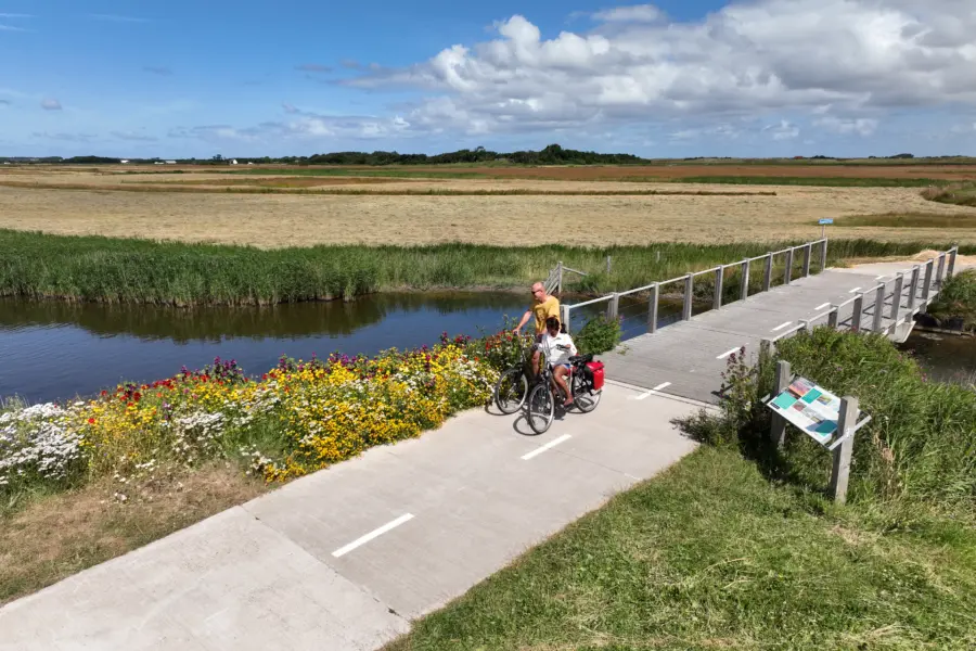 Coogherveld Camping Omgeving fietsers